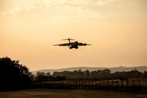 How to Manage Military Aircraft Bird Strike Prevention image
